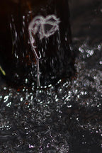 LA METAMORFÓSIS DEL AGUA